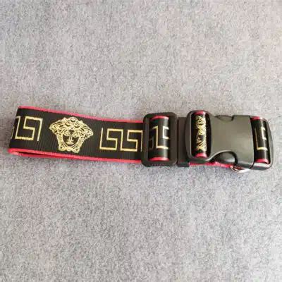 versace dog collar and leash